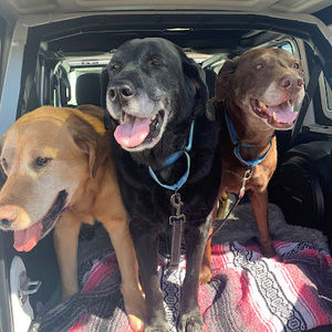 Meet your Posher, Lindsay